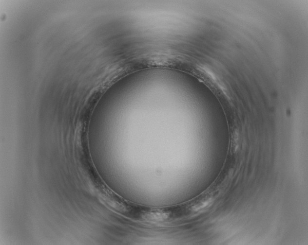 X0000088390217200706121218