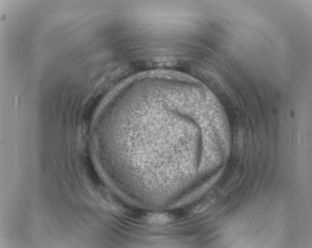 X0000088390218200706121218