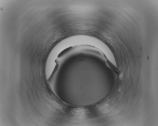 X0000088390219200706121218