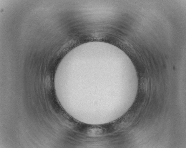 X0000088390220200706121218