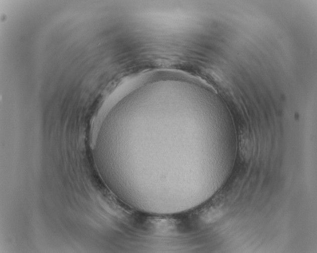 X0000088390221200706121218