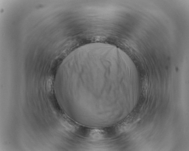 X0000088390222200706121218