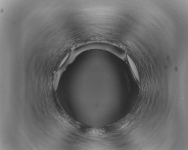 X0000088390223200706121218