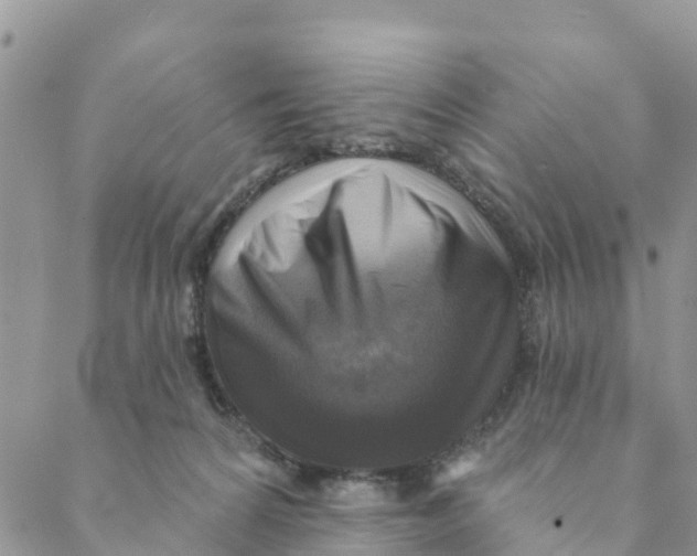 X0000088390224200706121218