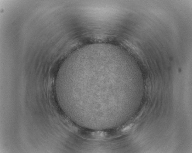 X0000088390225200706121218