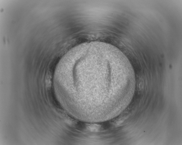 X0000088390226200706121218