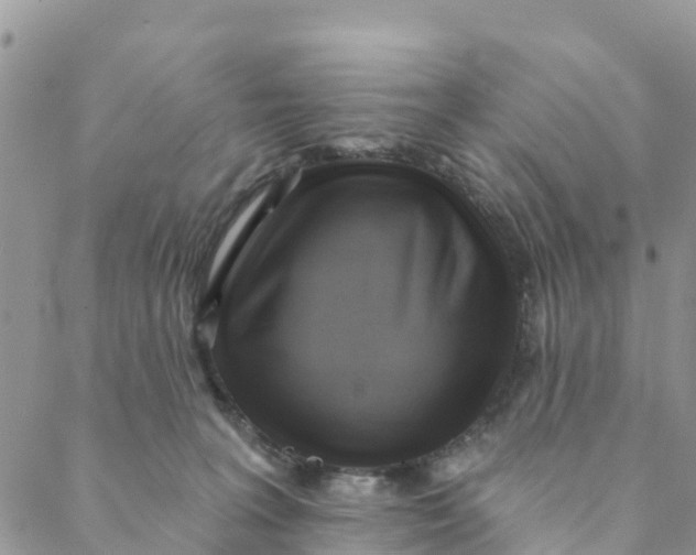 X0000088390227200706121218