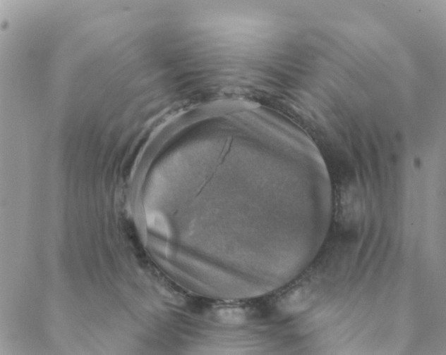 X0000088390228200706121218