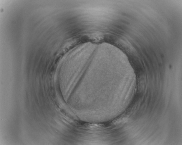 X0000088390229200706121218