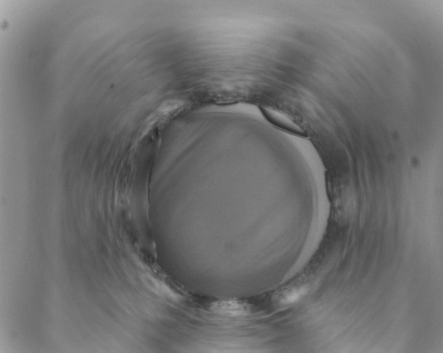 X0000088390231200706121218