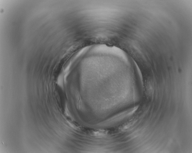 X0000088390232200706121218