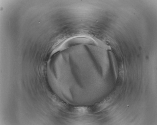 X0000088390233200706121218