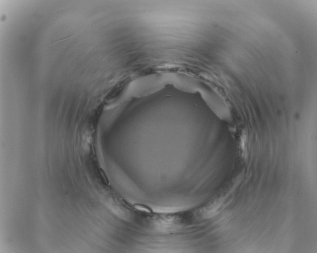 X0000088390235200706121218