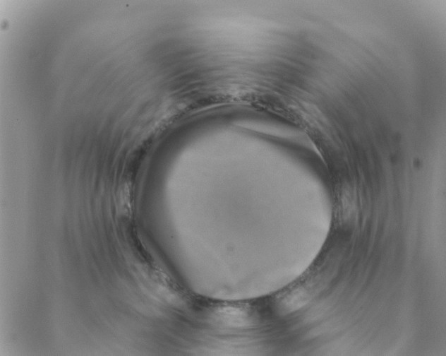 X0000088390236200706121218