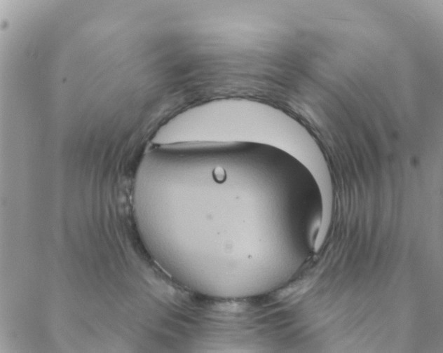 X0000088390237200706121218