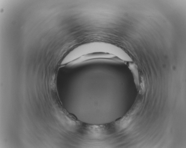 X0000088390239200706121218