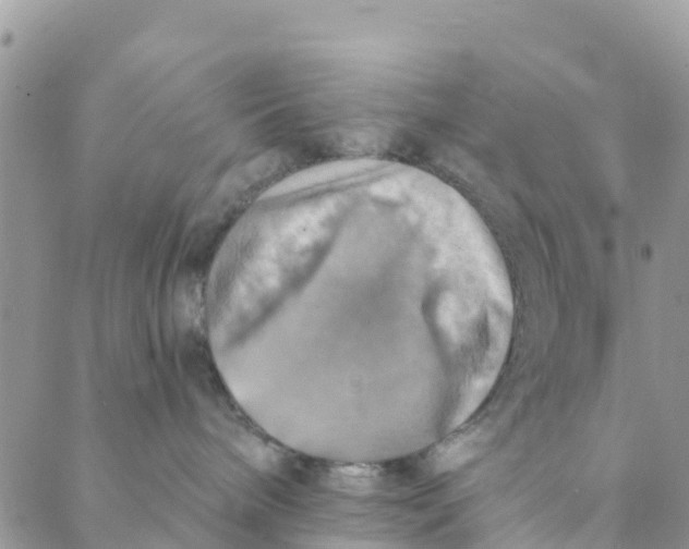 X0000088390240200706121218