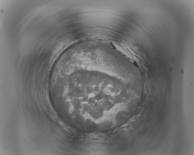 X0000088390241200706121217