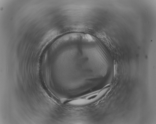 X0000088390243200706121217