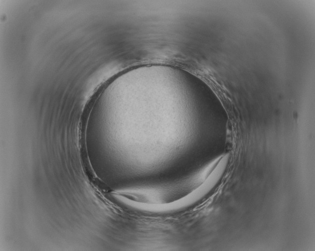 X0000088390244200706121217