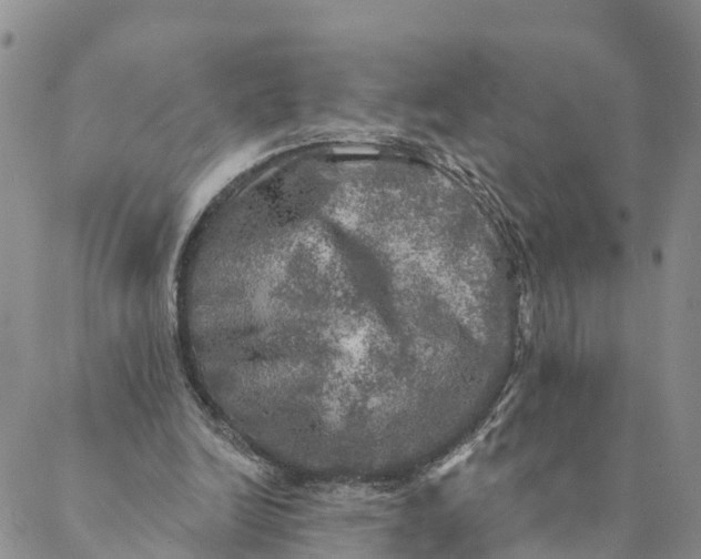 X0000088390246200706121217