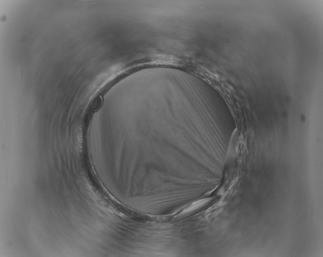 X0000088390247200706121217