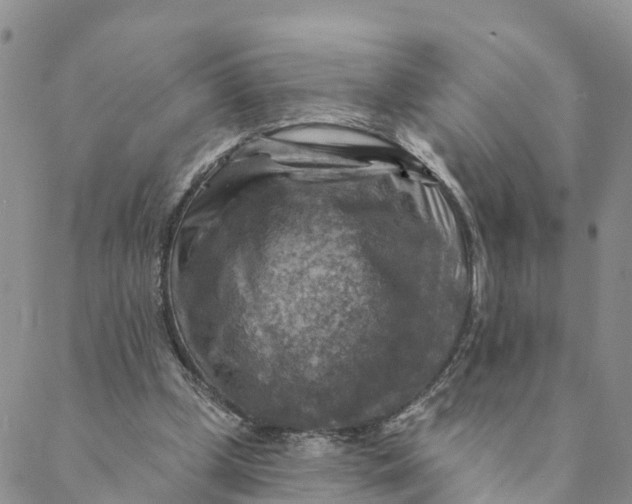 X0000088390249200706121217