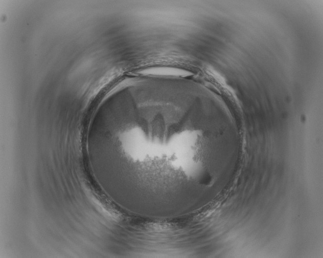 X0000088390250200706121217