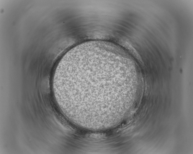 X0000088390251200706121217