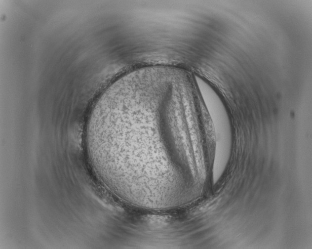 X0000088390255200706121217