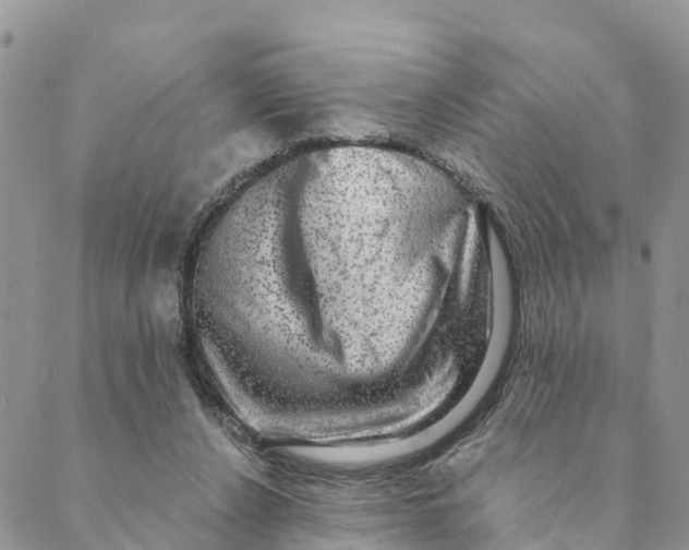 X0000088390256200706121217