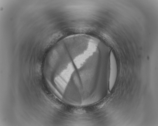 X0000088390258200706121217