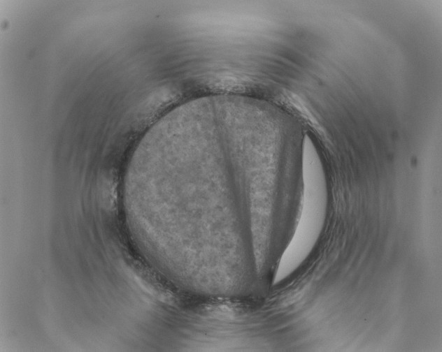 X0000088390259200706121217