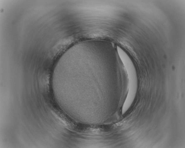 X0000088390260200706121217