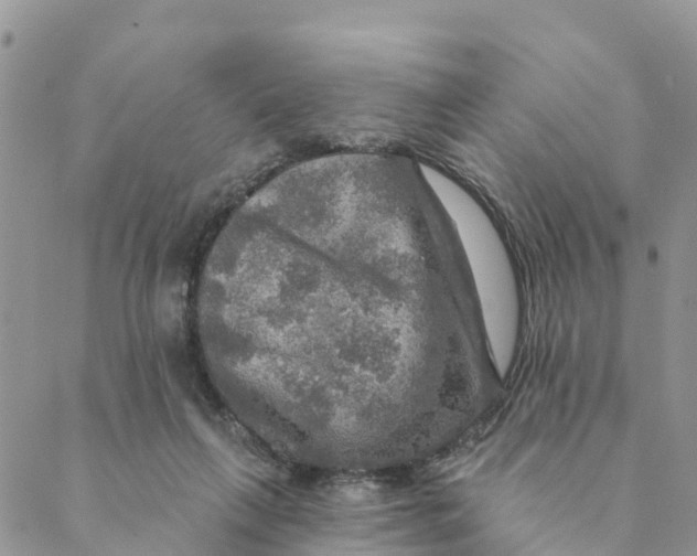 X0000088390263200706121217