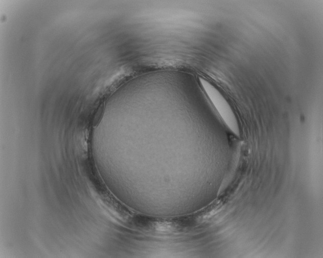 X0000088390264200706121217