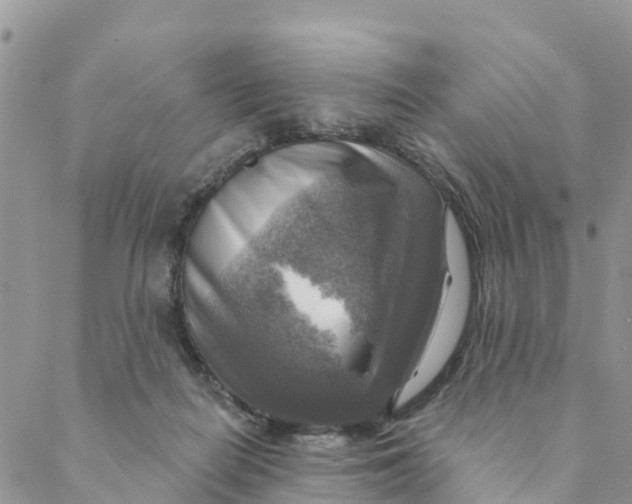 X0000088390266200706121217