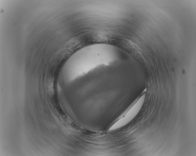 X0000088390267200706121217