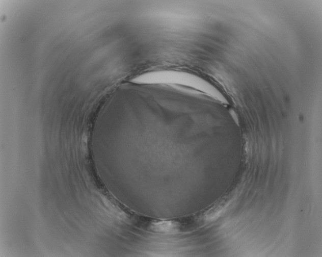 X0000088390269200706121217