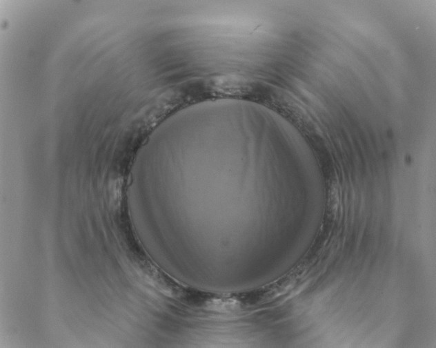 X0000088390271200706121217