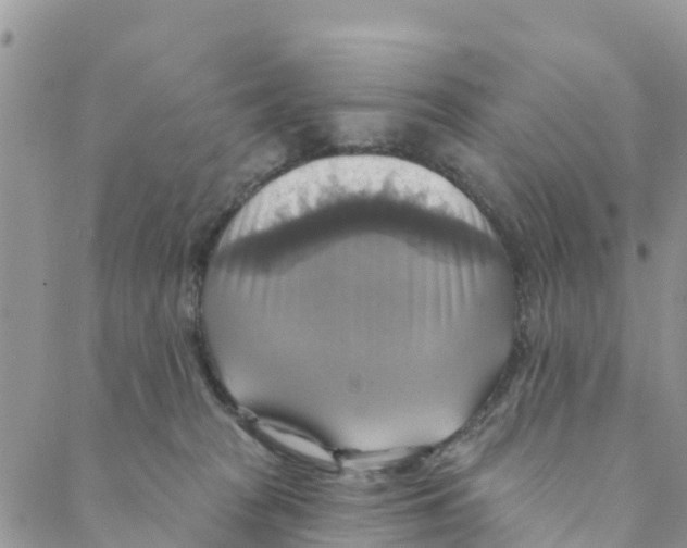 X0000088390277200706121217