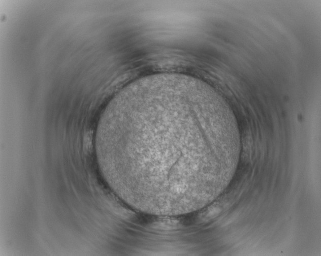 X0000088390278200706121217