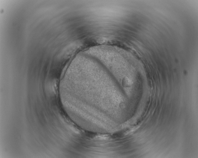 X0000088390280200706121217