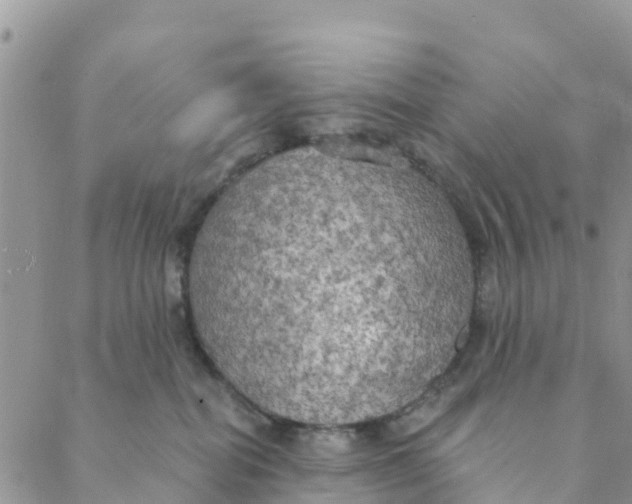 X0000088390282200706121217