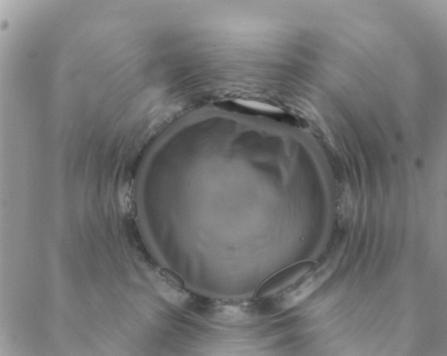 X0000088390285200706121218