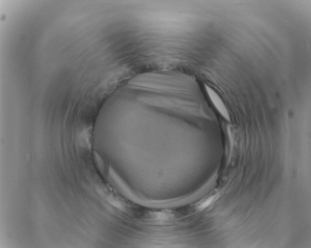 X0000088390286200706121218