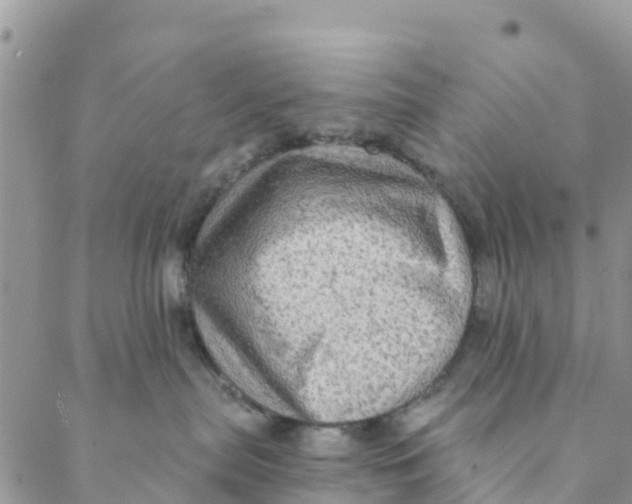 X0000088390287200706121218