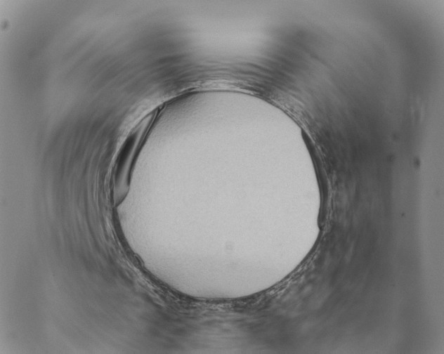 X0000088390289200706121217