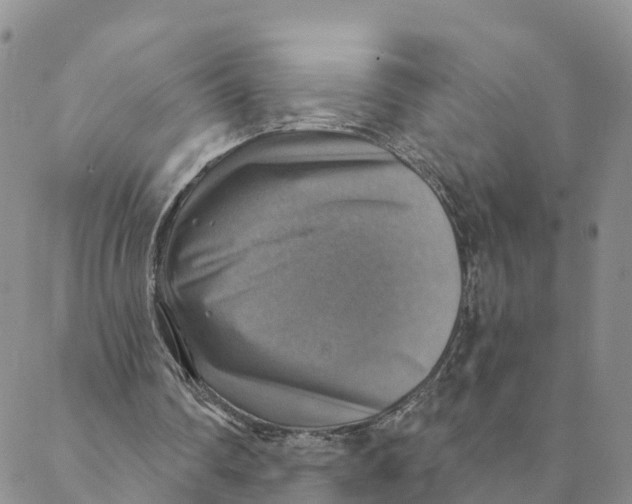 X0000088390290200706121217