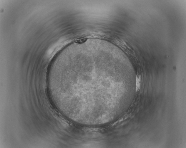 X0000088390291200706121217